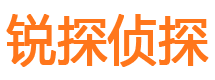 介休市调查公司